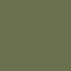 avocado color square
