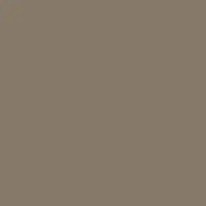 buckskin color square